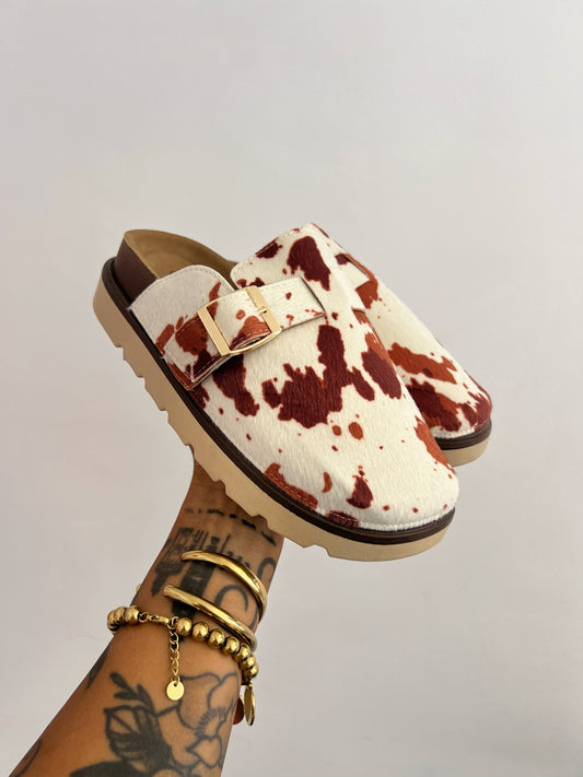 ZUECOS VACA